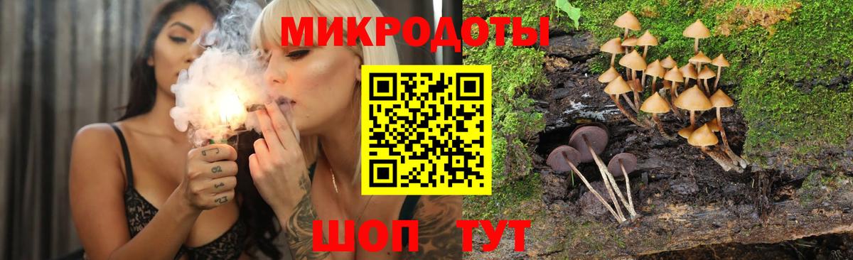 Псилоцибиновые грибы Magic Shrooms  где можно купить наркотик  Камень-на-Оби  Вход с VPN  Псилоцибиновые грибы ЛСД 