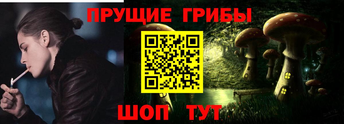 Галлюциногенные грибы MAGIC MUSHROOMS Камень-на-Оби